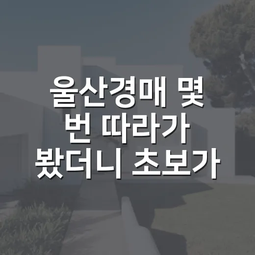 울산경매 몇 번 따라가 봤더니 초보가 헷갈리는 지점이 딱 보였습니다 - 요약