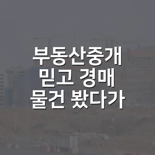 부동산중개 믿고 경매 물건 봤다가 현장에서 식은땀 난 이야기 - 요약