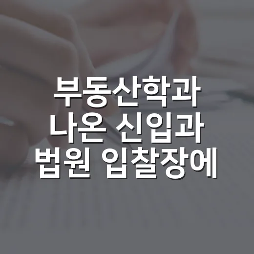 부동산학과 나온 신입과 법원 입찰장에 같이 가봤더니 보인 차이 - 요약