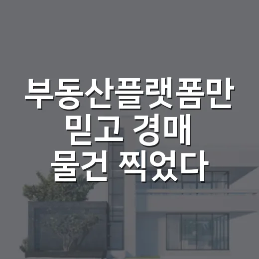 부동산플랫폼만 믿고 경매 물건 찍었다가 입찰장에서 식은땀 난 이야기 - 요약