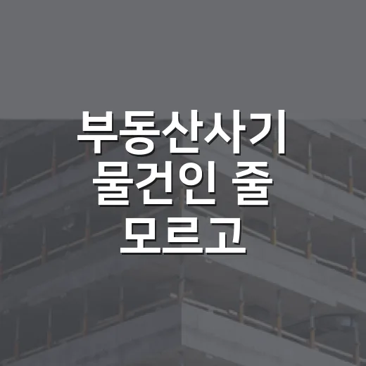 부동산사기 물건인 줄 모르고 입찰장까지 갔다가 발 뺀 이야기 - 요약