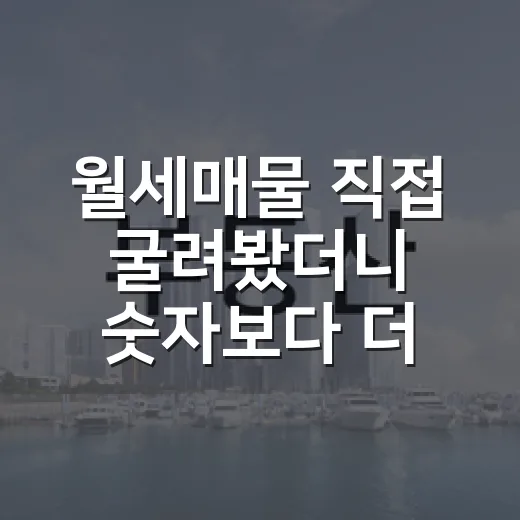 월세매물 직접 굴려봤더니 숫자보다 더 무서웠던 것들 - 요약