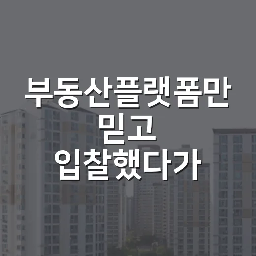 부동산플랫폼만 믿고 입찰했다가 현장에서 식은땀 흘린 이야기 - 요약