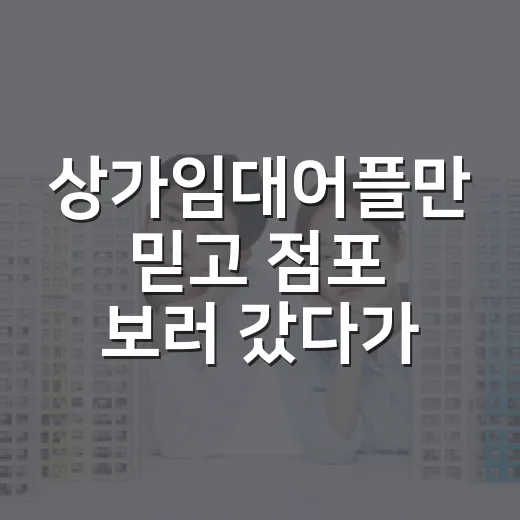 상가임대어플만 믿고 점포 보러 갔다가 현장에서 다시 계산한 이야기 - 요약