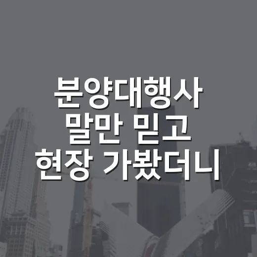 분양대행사 말만 믿고 현장 가봤더니, 숫자가 먼저 삐끗했습니다 - 요약