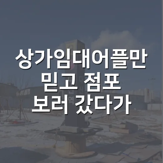 상가임대어플만 믿고 점포 보러 갔다가 현장에서 다시 계산한 이야기 - 요약