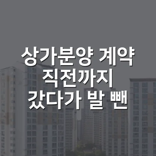 상가분양 계약 직전까지 갔다가 발 뺀 진짜 이유 - 요약