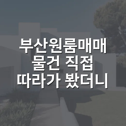 부산원룸매매 물건 직접 따라가 봤더니 숫자보다 냄새가 먼저 보였습니다 - 요약