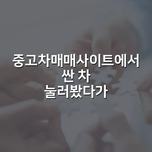 중고차매매사이트에서 싼 차 눌러봤다가 경매 물건 보듯 걸러낸 후기 - 요약