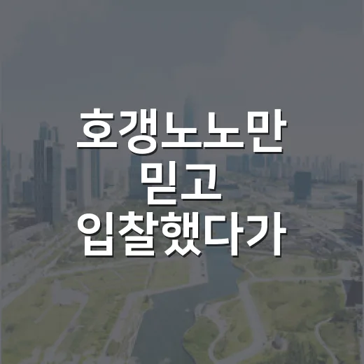 호갱노노만 믿고 입찰했다가 현장에서 식은땀 난 이야기 - 요약