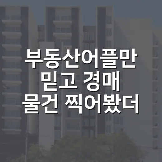 부동산어플만 믿고 경매 물건 찍어봤더니 입찰장 앞에서 멈춘 이야기 - 요약