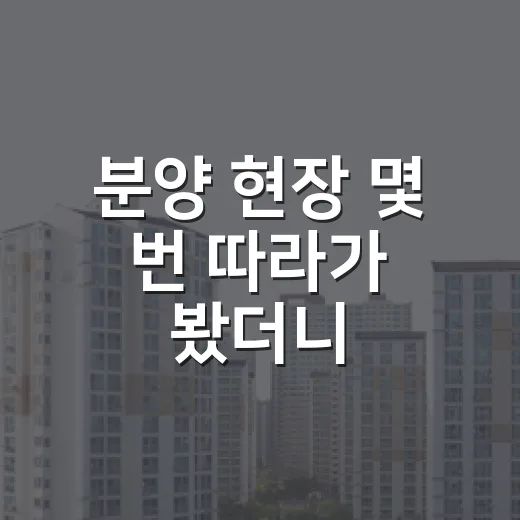분양 현장 몇 번 따라가 봤더니, 초보가 제일 먼저 놓치는 돈의 흐름 - 요약