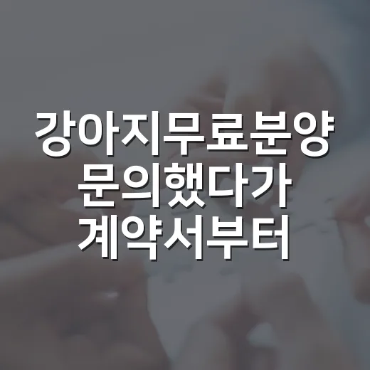강아지무료분양 문의했다가 계약서부터 확인하게 된 진짜 이야기 - 요약