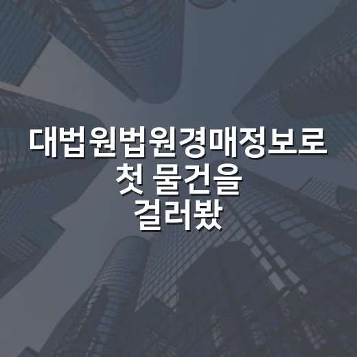 대법원법원경매정보로 첫 물건을 걸러봤더니 보이는 것들 - 요약