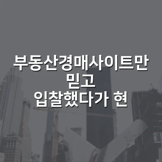 부동산경매사이트만 믿고 입찰했다가 현장에서 다시 보게 된 이야기 - 요약