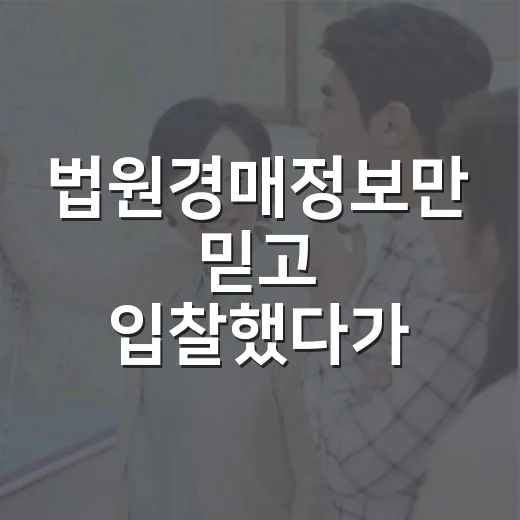 법원경매정보만 믿고 입찰했다가 현장에서 식은땀 난 이야기 - 요약