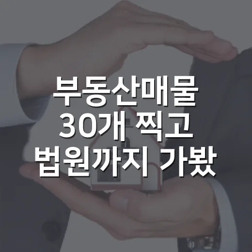 부동산매물 30개 찍고 법원까지 가봤더니, 싼 물건은 따로 있었습니다 - 요약