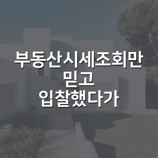 부동산시세조회만 믿고 입찰했다가 현장에서 식은땀 났던 이야기 - 요약