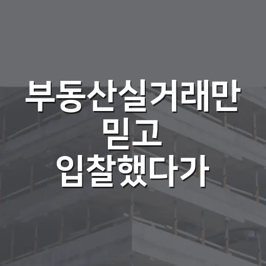 부동산실거래만 믿고 입찰했다가 현장에서 식은땀 난 이야기 - 요약