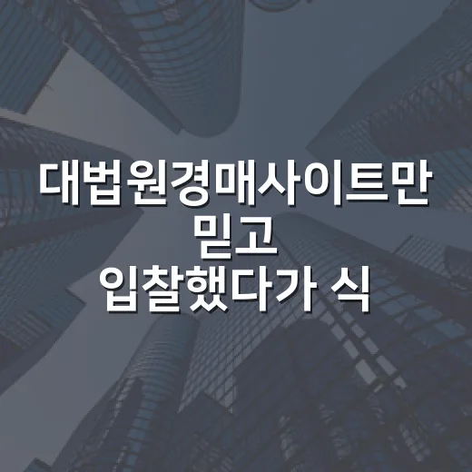 대법원경매사이트만 믿고 입찰했다가 식겁했던 날 - 요약