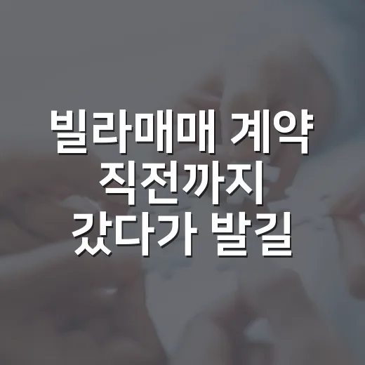 빌라매매 계약 직전까지 갔다가 발길 돌린 진짜 이유 - 요약