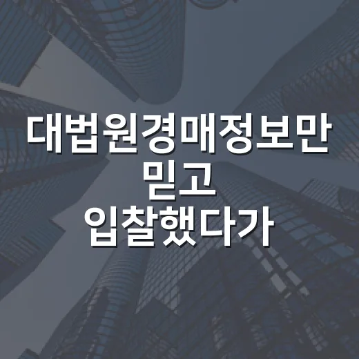 대법원경매정보만 믿고 입찰했다가 현장에서 식은땀 난 이야기 - 요약