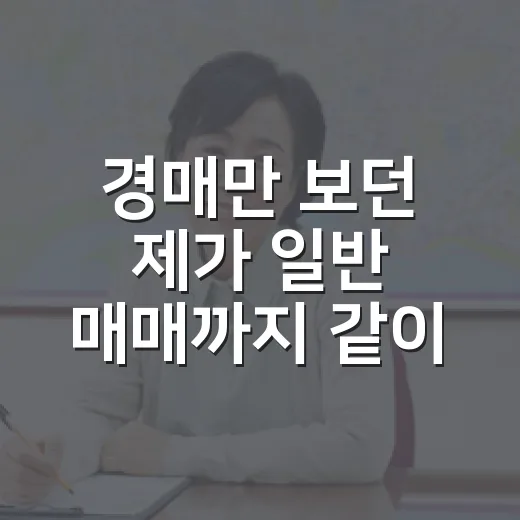 경매만 보던 제가 일반 매매까지 같이 봤더니 보인 진짜 가격 - 요약