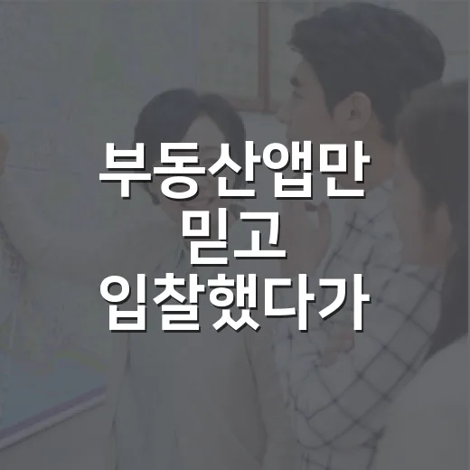 부동산앱만 믿고 입찰했다가 현장에서 식은땀 난 이야기 - 요약