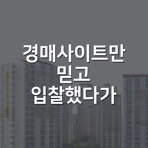 경매사이트만 믿고 입찰했다가 보증금 날릴 뻔했던 이야기 - 요약