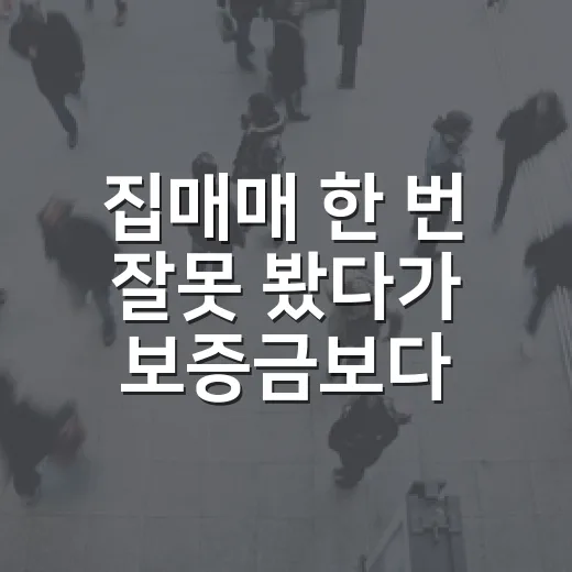 집매매 한 번 잘못 봤다가 보증금보다 큰 수업료 낼 뻔한 이야기 - 요약