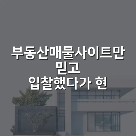 부동산매물사이트만 믿고 입찰했다가 현장에서 식은땀 난 이야기 - 요약