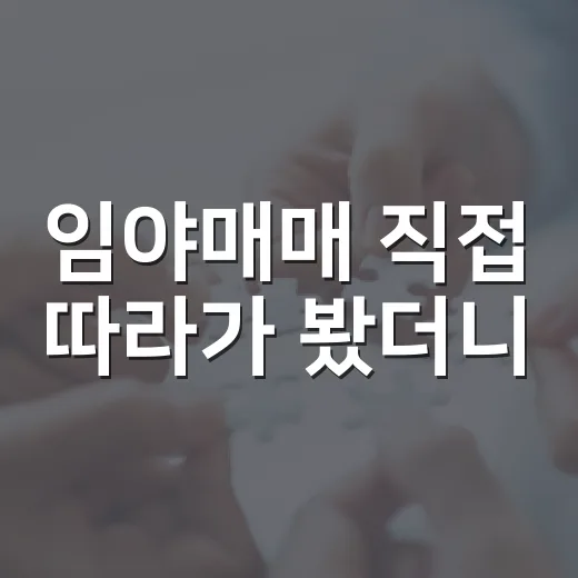 임야매매 직접 따라가 봤더니, 싸게 산 땅이 왜 더 무서울 때가 있는지 알았습니다 - 요약