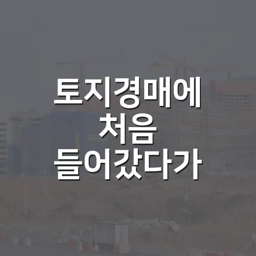 토지경매에 처음 들어갔다가 진짜로 배운 것들 - 요약