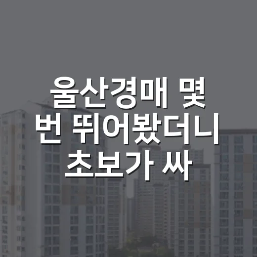 울산경매 몇 번 뛰어봤더니 초보가 싸다고 덤비면 다치는 물건이 보입니다 - 요약