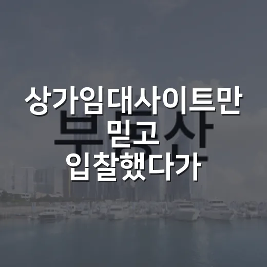 상가임대사이트만 믿고 입찰했다가 현장에서 식은땀 난 이야기