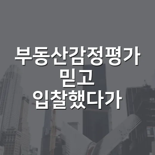 부동산감정평가 믿고 입찰했다가 잔금 앞에서 식은땀 난 이야기