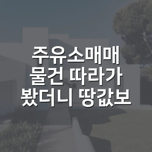 주유소매매 물건 따라가 봤더니 땅값보다 먼저 봐야 할 게 있었습니다