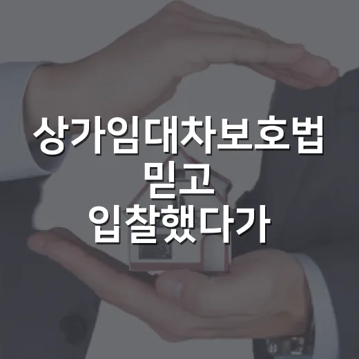 상가임대차보호법 믿고 입찰했다가 배당표 앞에서 식은땀 난 이야기 - 요약