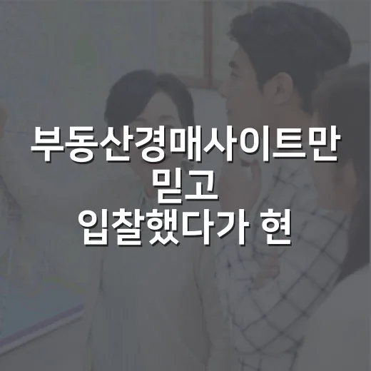 부동산경매사이트만 믿고 입찰했다가 현장에서 식은땀 난 이야기 - 요약