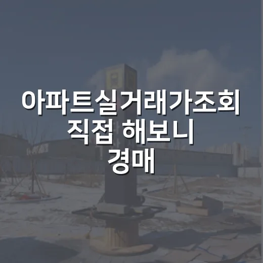 아파트실거래가조회 직접 해보니 경매 입찰가가 달라졌습니다 - 요약