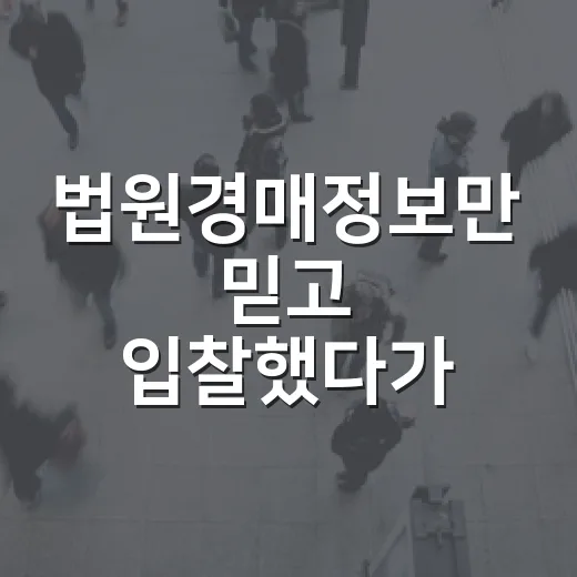법원경매정보만 믿고 입찰했다가 현장에서 식은땀 난 이야기 - 요약