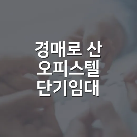 경매로 산 오피스텔 단기임대 돌려봤더니 숫자보다 먼저 본 게 있었다 - 요약