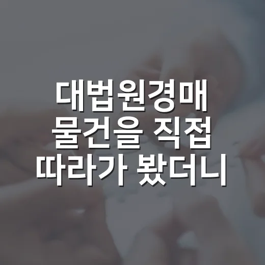 대법원경매 물건을 직접 따라가 봤더니 초보가 먼저 봐야 할 게 보이더군요 - 요약