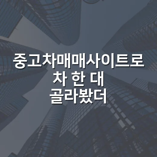 중고차매매사이트로 차 한 대 골라봤더니, 권리분석보다 더 무서운 게 있었습니다 - 요약