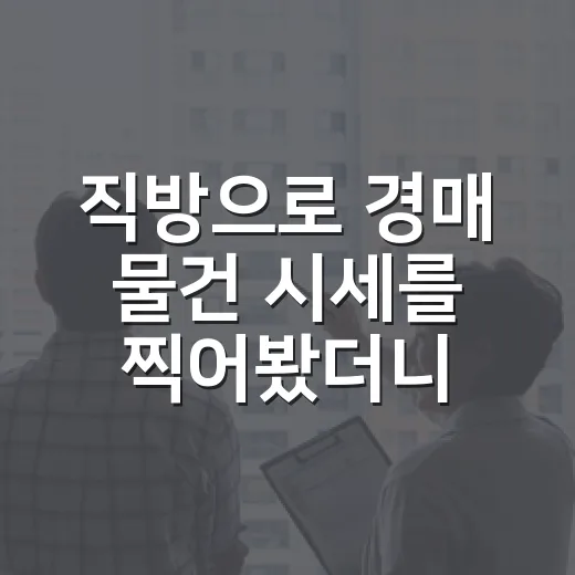 직방으로 경매 물건 시세를 찍어봤더니 입찰가가 달라졌습니다 - 요약