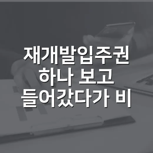재개발입주권 하나 보고 들어갔다가 비용표 다시 써본 이야기 - 요약