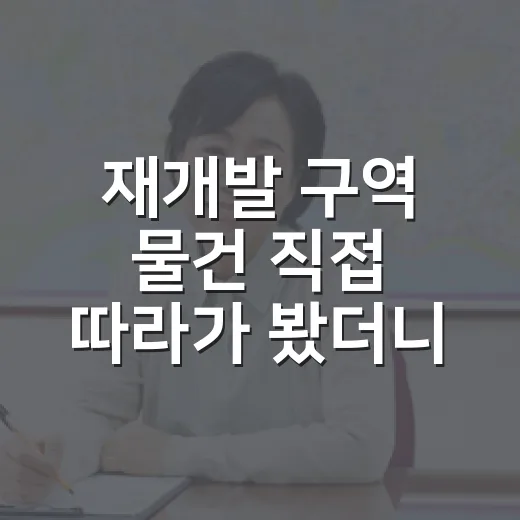 재개발 구역 물건 직접 따라가 봤더니, 싸게 보이던 집값이 달라 보였습니다 - 요약