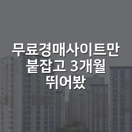 무료경매사이트만 붙잡고 3개월 뛰어봤더니 보이던 것들 - 요약