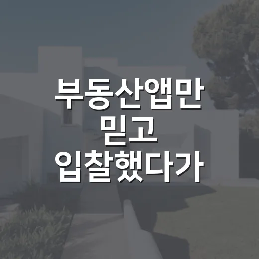 부동산앱만 믿고 입찰했다가 현장에서 식은땀 난 이야기 - 요약