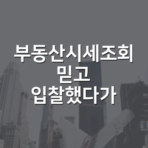 부동산시세조회 믿고 입찰했다가 현장에서 식은땀 난 이야기 - 요약